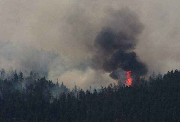 Cháy rừng ở phía Đông Bắc thị trấn Cache Creek, British Columbia, Canada vào ngày 18/7/2017.