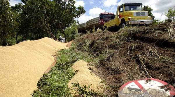 Một chiếc xe kéo kéo chiếc xe tải chở đậu nành sau khi chiếc xe tải này bị đổ khoảng 30 tấn đậu nành dọc theo quốc lộ Brazil BR-163, gần thành phố Sorriso, bang Mato Grosso, phía tây Brazil vào ngày 18/3/2004. Ảnh: REUTERS/Paulo Whitaker/File photo/Representational