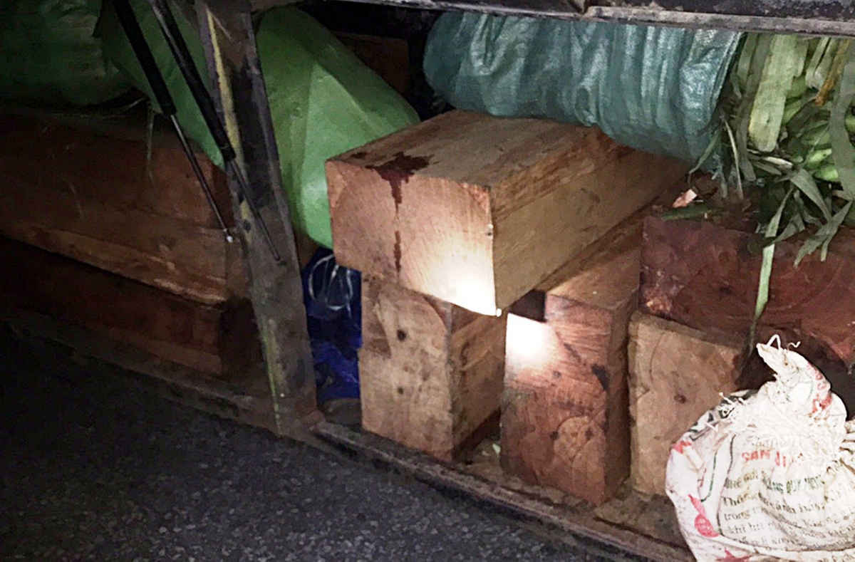 Thùng xe khách chứa hàng chục phách gỗ lậu, bị CSGT phát hiện