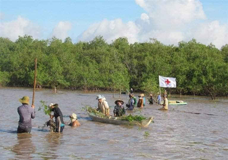 Tỉnh Sóc Trăng ra quân trồng 20ha rừng ngập mặn ven biển ở huyện Trần Đề