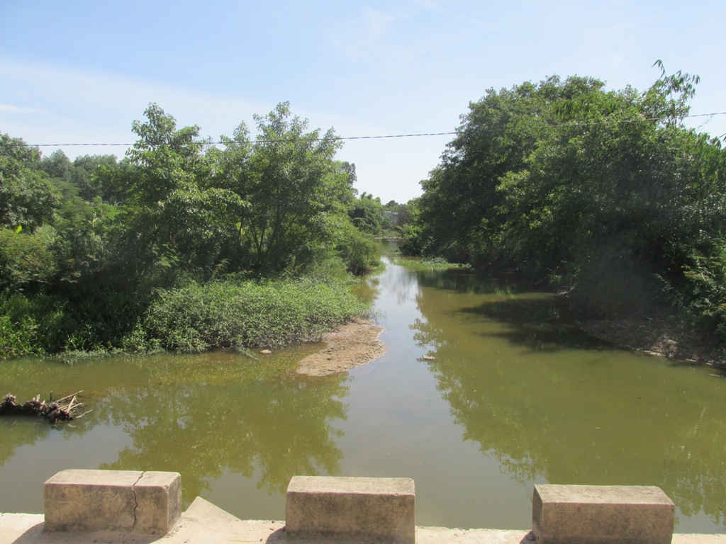 Diện tích mặt nước sông Hà Thanh tại đập Phú Xuân bị thu hẹp do ông Tần trồng cây 
