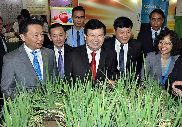 Phó Thủ tướng Trịnh Đình Dũng, Bộ trưởng Trần Hồng Hà và các đại biểu tham quan các gian hàng trưng bày sản phẩm nông nghiệp của các nền kinh tế APEC