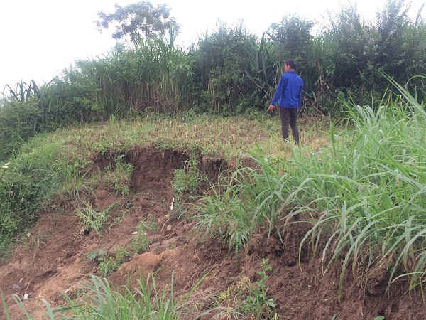 Người dân xã Yên Thái xót sa vì mất đất canh tác