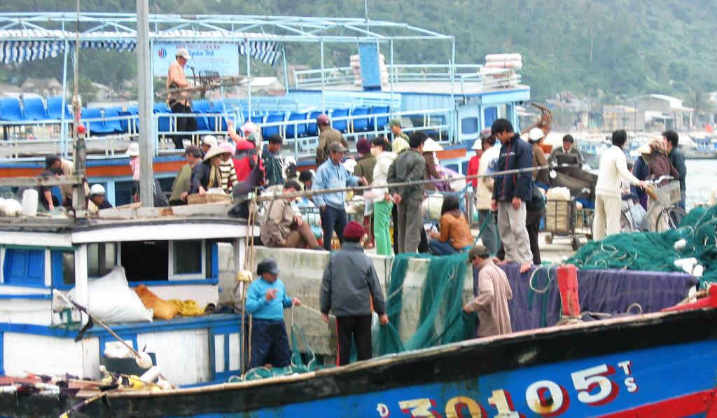 Hiện nay, ngư dân đánh bắt trên vùng biển Hoàng Sa và các vùng biển của Việt Nam đang gặp rất nhiều khó khắn. Đề nghị Chính phủ ban hành chính sách hỗ trợ đối với hộ ngư dân đánh bắt trên ngư trường của Việt Nam bị tàu nước ngoài đâm va, xua đuổi
