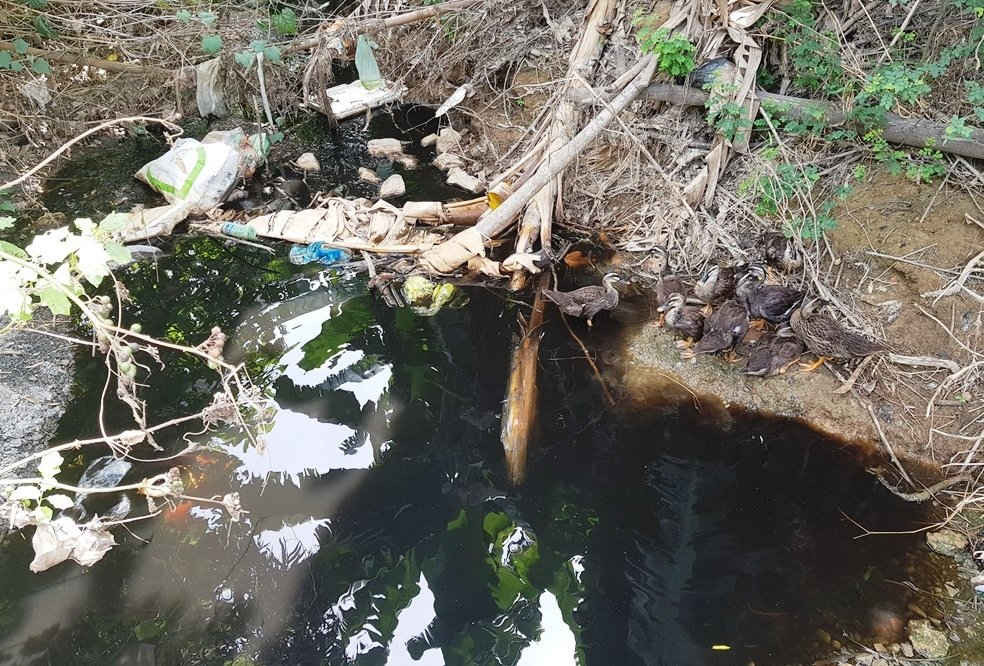 Mùi hôi và chất lượng từ nguồn nước rỉ rác từ bãi rác Khánh Sơn vẫn chưa thể đảm bảo cho môi trường khu vực, cần phải khẩn trương nâng cấp