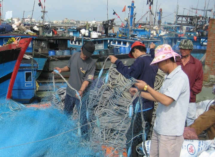 Hiện tại hoạt động khai thác hải sản trên biển ở vùng xa bờ tỉnh Thừa Thiên Huế đã ổn định và đang tăng dần về sản lượng