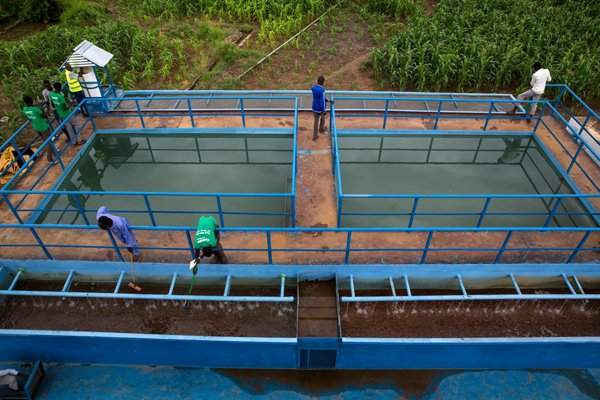 Nhà máy xử lý nước đã hoạt động trở lại vào tháng 6/2017 sau một năm phục hồi, sản xuất 500.000 lít nước uống an toàn mỗi ngày. Nước được bơm qua các đường ống dài 6 km đến các trạm cung cấp nước ở Bentiu, giúp cải thiện cuộc sống của người dân.