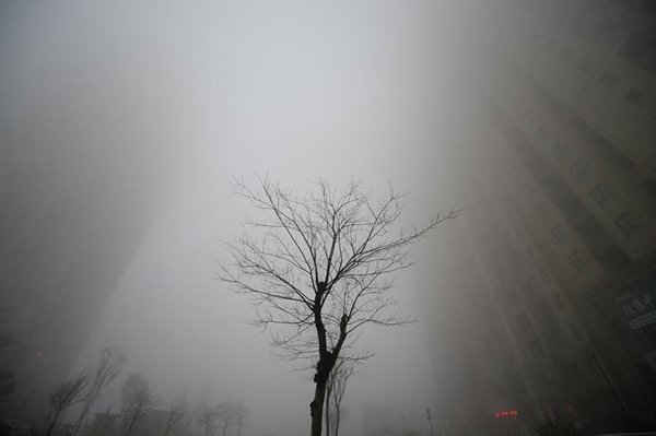 Hình ảnh tòa nhà trong sương mù nặng trong một ngày ô nhiễm ở Tế Nam, tỉnh Sơn Đông, Trung Quốc vào ngày 20/12/2016. Ảnh: REUTERS / Stringer / File Photo