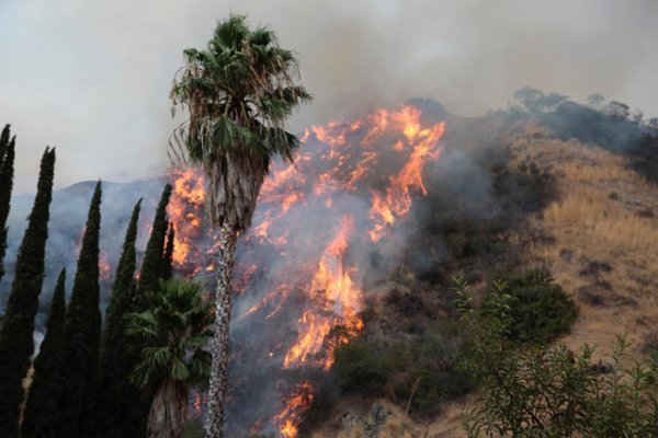 Vụ cháy rừng La Tuna  trên Burbank, California vào ngày 2/9/2017. Ảnh: REUTERS / Kyle Grillot