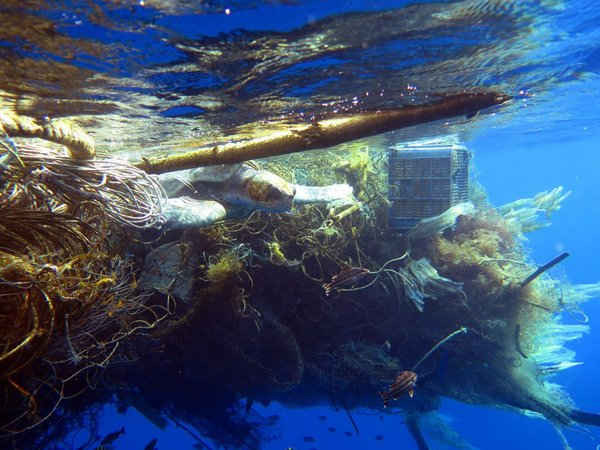 Một con rùa biển bị mắc kẹt trong đống đồ nhựa và lưới đánh cá ở Maldives. Ảnh: Courtesy Richard Aspinall