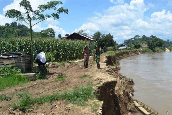 Tình trạng sạt lở đất đang uy hiếp đến đời sống người dân buôn Plao Siêng, huyện Lắk.  