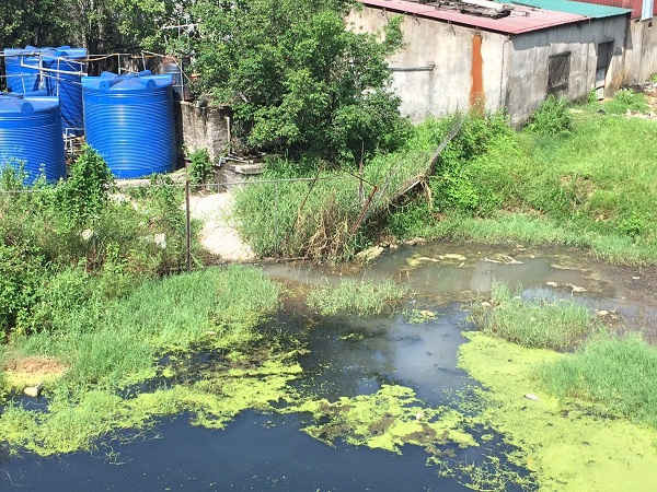 Khu vực xả nước thải ra ngoài môi trường của Công ty Việt Xanh
