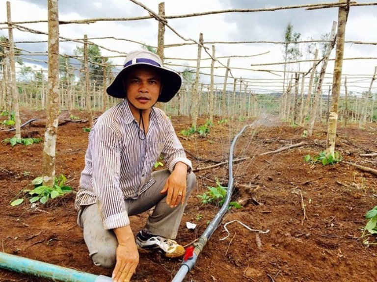 Công nghệ tưới tiết kiệm nước ngày càng được nông dân áp dụng rộng rãi