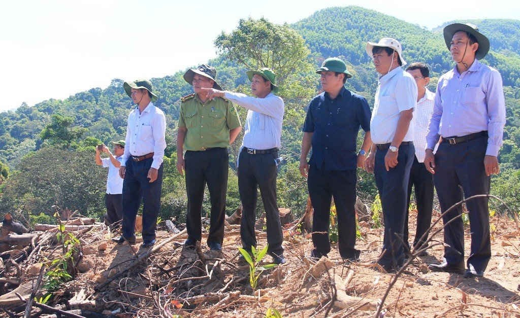 Đồng chí Bí thư Tỉnh ủy Nguyễn Thanh Tùng (người đứng thứ 3 bên phải qua) cùng lãnh đạo Sở TN-MT, Sở NN&PTNT và chính quyền địa phương kiểm tra hiện trường 43,7 ha rừng ở xã An Hưng (huyện An Lão).