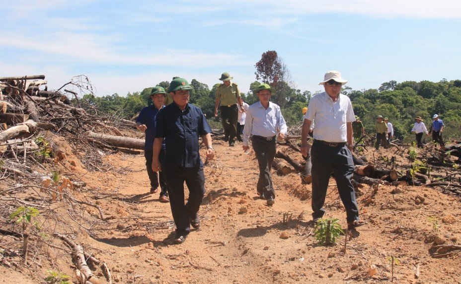 Đồng chí Bí thư Tỉnh ủy Nguyễn Thanh Tùng dẫn đầu Đoàn công tác của tỉnh đang đi kiểm tra hiện trường vụ phá 43,7 ha rừng ở tiểu khu 1, xã An Hưng (huyện An Lão).