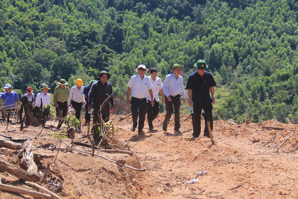 Bí thư Tỉnh ủy Nguyễn Thanh Tùng (người đứng thứ 3 bên phải qua) cùng lãnh đạo Sở TN-MT, Sở NN&PTNT và chính quyền địa phương kiểm tra hiện trường 43,7 ha rừng ở xã An Hưng (huyện An Lão).