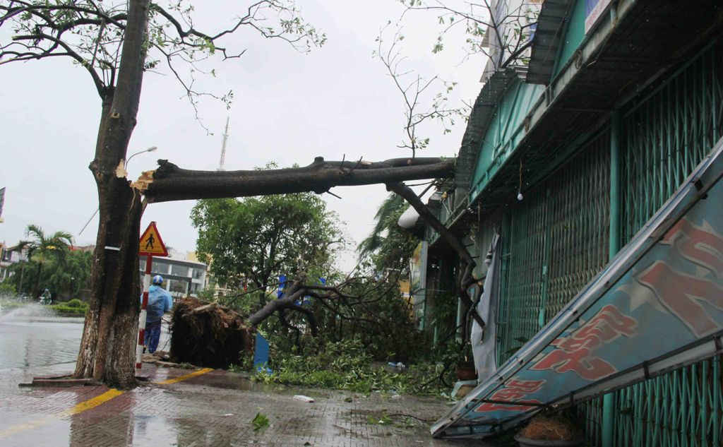 Công tác cứu hộ cứu nạn cho người dân sau bão đang được các ban ngành chức năng tỉnh Quảng Bình tích cực triển khai