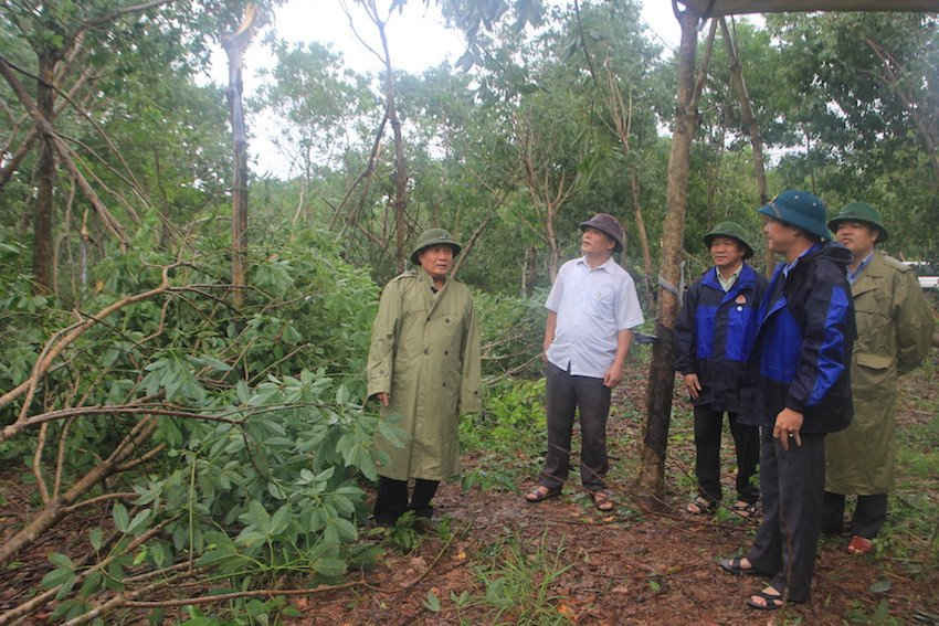Lãnh đạo tỉnh Quảng Trị kiểm tra công tác khắc phục hậu quả cơn bão số 10 tại huyện Vĩnh Linh, Quảng Trị.