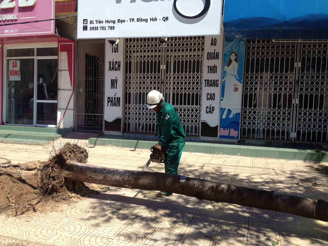 Tiến hành cắt thân cây bị hư hỏng không thể khắc phục, để không chiếm dụng không gian