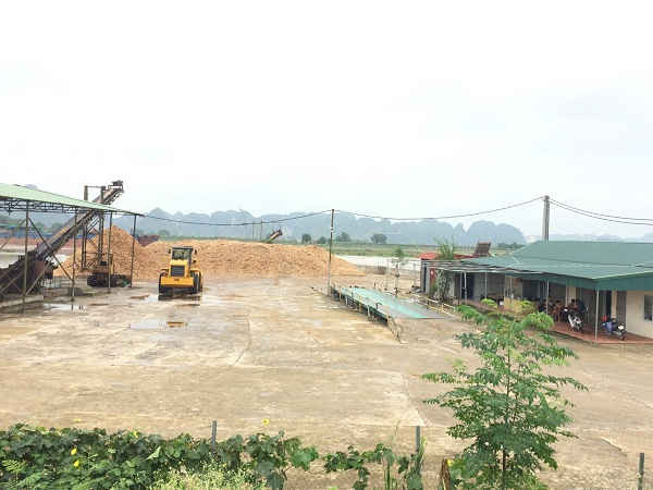 Xưởng dăm gỗ trái phép ngoài đê sông Hoàng Long của Công ty TNHH MTV Linh Nhung
