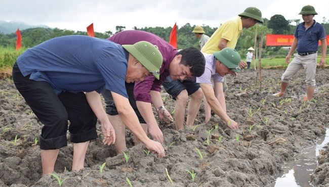 Ông Nguyễn Văn Khánh - Phó Chủ tịch UBND tỉnh cùng lãnh đạo các sở, ban, ngành, đoàn thể tỉnh và bà con nhân dân đã xuống đồng tham gia trồng ngô