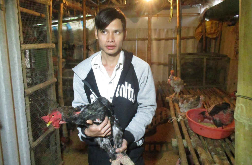 Anh Phan Phước Nguyên lập nghiệp thành công với mô hình gà Đông Tảo