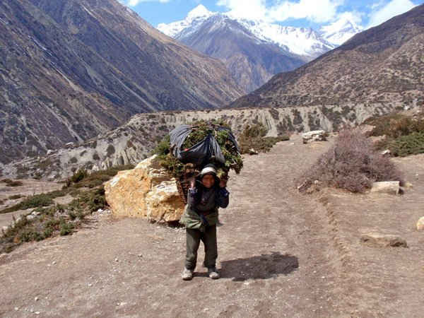Biến đổi khí hậu làm tăng gánh nặng của phụ nữ trong khu vực Hindu Kush Himalayas. Ảnh: Jo Simon