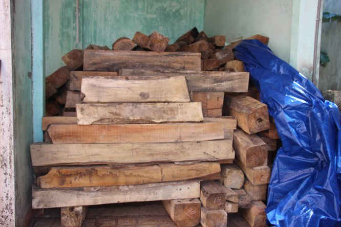 Khối lượng gỗ được cơ quan chức năng phát hiện