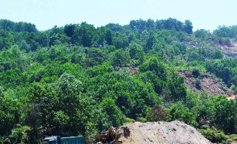Để tạo công ăn việc làm và hạn chế tình trạng phá rừng, tỉnh Quảng Nam đang tăng cường triển khai công tác giao đất, giao rừng cho người dân