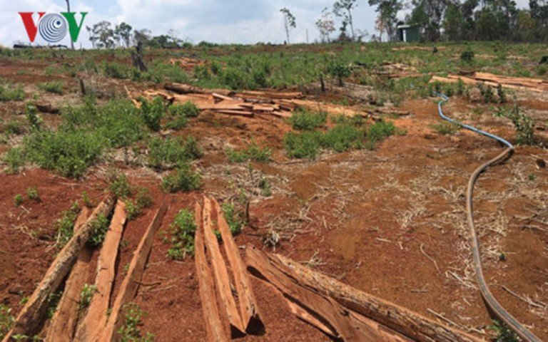 Một khoảng rừng bị phá trắng ở xã Quảng Sơn, huyện Đăk Glong, tỉnh Đắk Nông.
