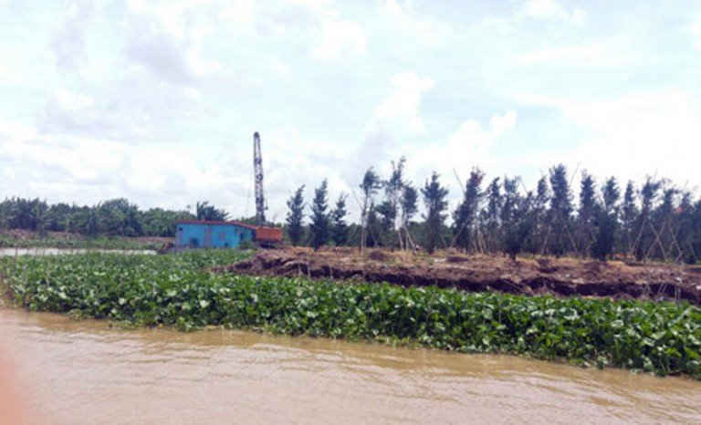 Đất bãi bồi ven sông Tiền ở huyện Cái Bè đã cho cán bộ và người dân thuê để trồng cây.