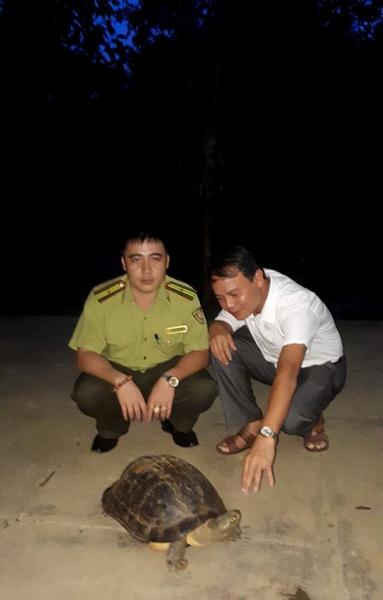 Cán bộ VQG Pù Mát tiếp nhận rùa quý hiếm