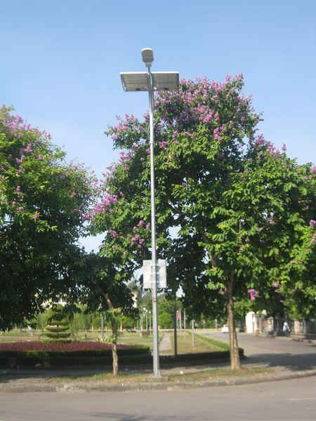 Đèn năng lượng mặt trời tại đường Tôn Đức Thắng, TP Huế