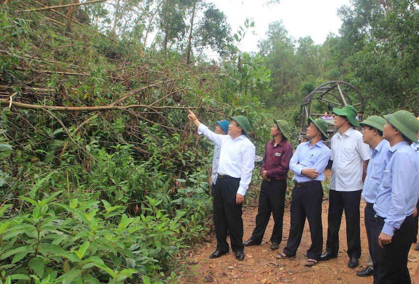 Ông Hà Sỹ Đồng, Phó Chủ tịch UBND tỉnh Quảng Trị cùng các cơ quan ban ngành liên quan trực tiếp kiểm tra thiệt hại về rừng do bão số 10 gây ra trên địa bàn huyện Vĩnh Linh