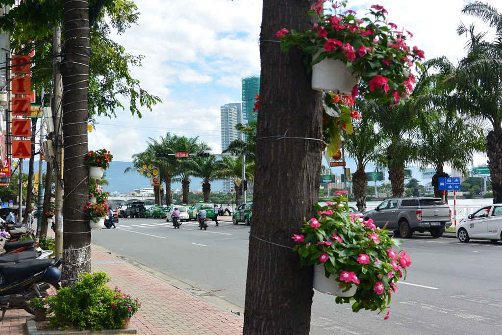 Đường phố Đà Nẵng rực sắc hoa chào đón APEC 2017
