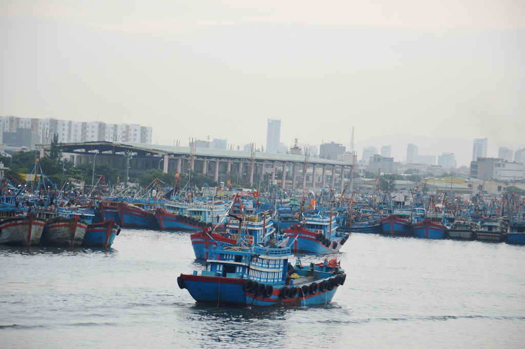 Tàu, thuyền di chuyển về nơi neo đậu an toàn tại âu thuyền Thọ Quang, Đà Nẵng 