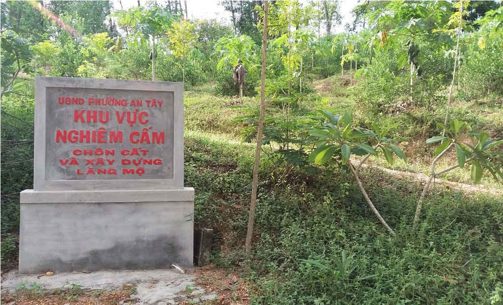 Chính quyền phường An Tây cho cắm biển cấm chôn cất và xây dựng thêm lăng mộ tại khu vực rừng bị chặt phá...