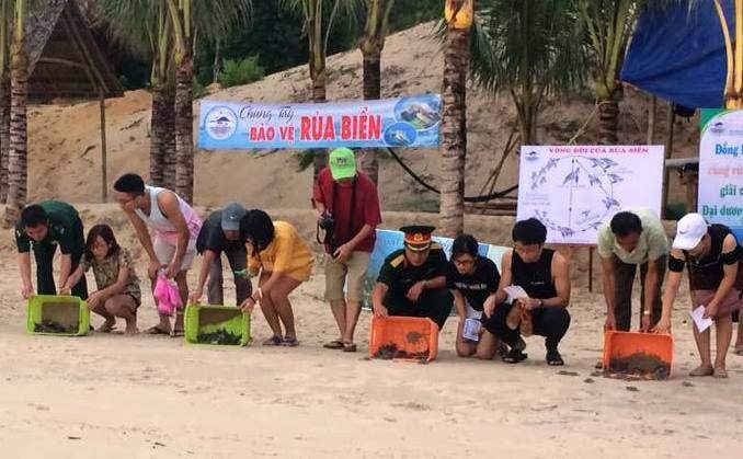 Những chú rùa được thả về biển trong sự vui mừng của khách du lịch và   người dân trên đảo Cù Lao Chàm