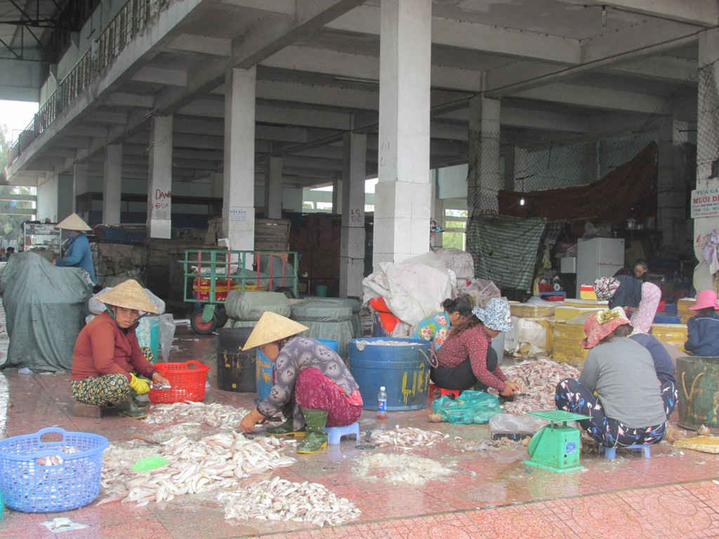 Sơ chế hải sản tươi sống tại Cảng cá Quy Nhơn không có hệ thống xử lý nước thải 