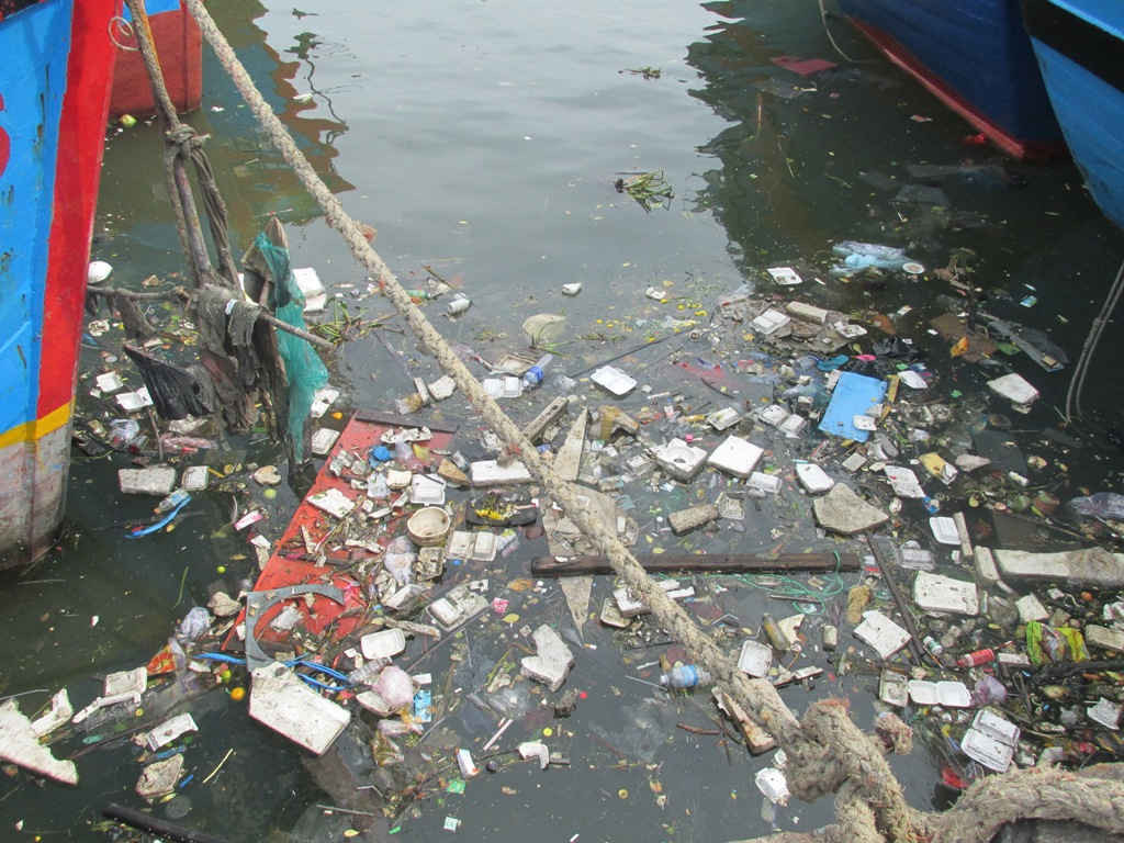 Rác thải bẩn đổ xuống biển tại Cảng cá Quy Nhơn 