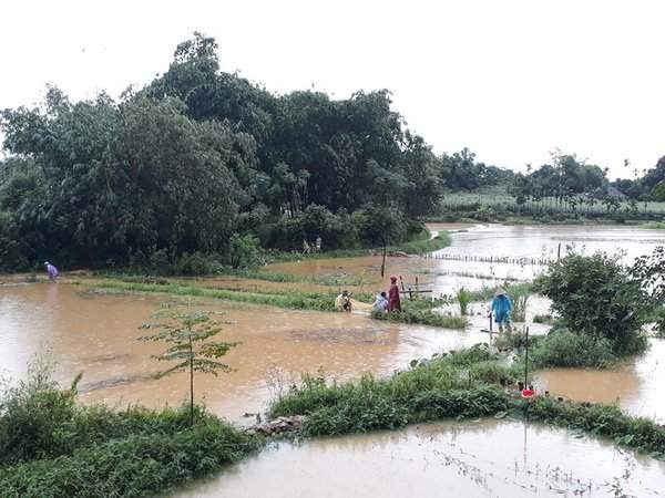 Khu vực xóm Rên, xã Gia Mô(huyện Tân Lạc) bị ngập, có hộ vỡ bờ gây thiệt hại lớn cho người dân.