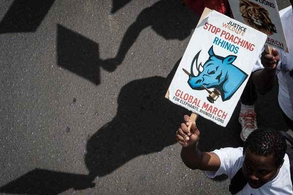 Những khẩu hiệu tại Ngày Voi, Tê giác và Sư tử toàn cầu thường niên ở Nairobi, Kenya vào ngày 7/10. Ảnh: Yasuyoshi Chiba / AFP / Getty Images