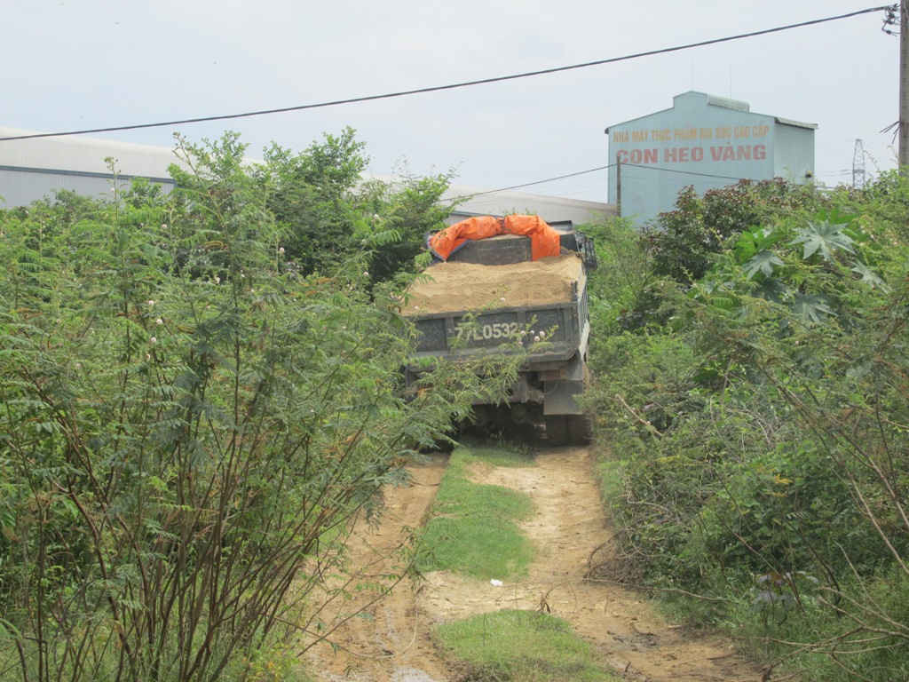 Xe chở cát từ xã Phước Thành qua đường mòn thuộc phường Trần Quang Diệu đi ra ngoài khu vực sông Hà Thanh 