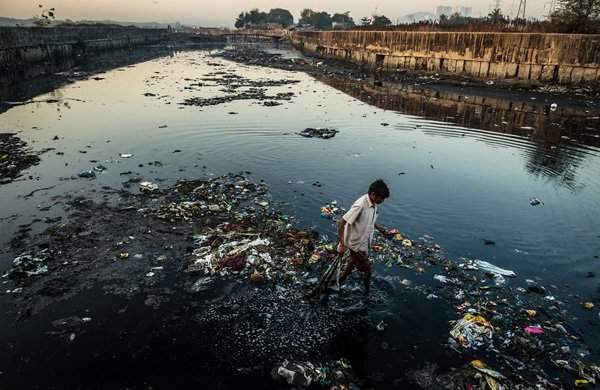 Ô nhiễm môi trường nước là gì Nguyên nhân hậu quả cách khắc phục