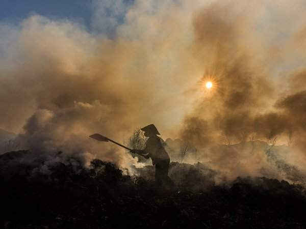 Một đám khói bao phủ một ao sen ở tỉnh Hà Nam, Việt Nam. Công nhân đốt hoa sen khô sau khi thu hoạch mà không có thiết bị bảo vệ ở nhiệt độ cao. Khói và thời tiết ảnh hưởng nghiêm trọng đến sức khoẻ của họ trong khi họ chỉ kiếm được 3 USD (gần 70 nghìn đồng) mỗi ngày. Ảnh: Trần Tuấn Việt / National Geographic Your Shot