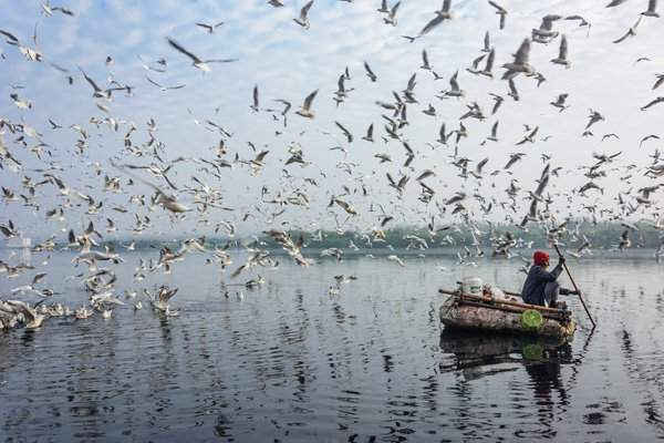 Trên một con thuyền dùng tạm thời, một người chèo thuyền qua các loài chim di cư. Một số người đã làm cho vùng biển của Yamuna, nhánh sông dài nhất và lớn thứ hai của sông Hằng bị ô nhiễm. Điều này khiến dòng sông và vùng đất ngập nước nhanh chóng suy thoái. Hình ảnh: Anirudh Ranjan / National Geographic Your Shot