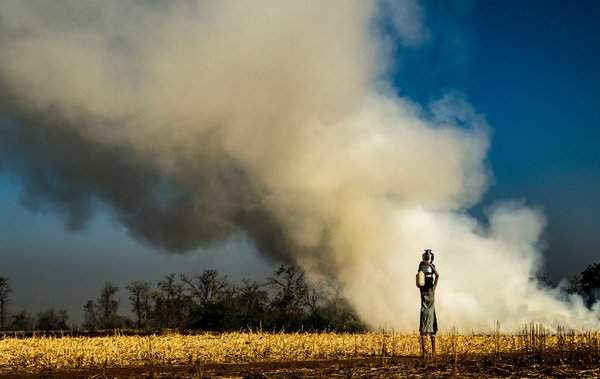 Một cô gái trẻ đội những chiếc bình kim loại trên đầu dừng lại khi một cánh đồng bị cháy ở Maharashtra, Ấn Độ. Phụ nữ nơi đây phải đi xa để lấy nước từ một cái giếng ở ngoài làng. Hình ảnh: Idrees Mohammed / National Geographic Your Shot