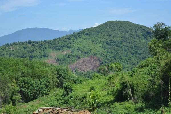 Tỉnh Quảng Nam đã có nhiều chính sách và giải pháp giúp người dân cải thiện sinh kế lấy rừng nuôi rừng, hạn chế tối đa nạn xâm lần rừng dai dẳng