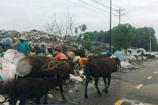 Bãi rác Đồng Tràm thuộc xã Cửa Dương nhiều lúc rác tràn ra đường. Sau nhiều lần phản ánh, hiện nay bãi rác đã được ngành chức năng che chắn lại.