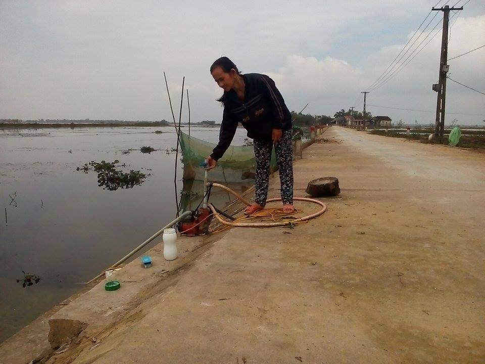 Bà Võ Thị Hạnh chỉ ra máy bơm và cho chúng tôi biết con sông Hói xuất hiện nhiều bèo, rác trôi từ đầu nguồn về